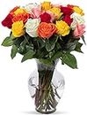 Benchmark Bouquets 24 stem Rainbow Roses, Next Day Prime Delivery, Fresh Cut Flowers, Gift for Anniversary, Birthday, Congratulations, Get Well, Home Decor, Sympathy, Easter, Mother's Day