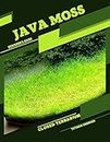 Java Moss: Closed terrarium, Beginner's Guide