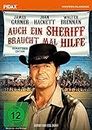 Auch ein Sheriff braucht mal Hilfe (Support Your Local Sheriff) / Brillante Westernkomödie mit James Garner (MAVERICK) (Pidax Western-Klassiker)