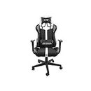 FURY Chaises de Marque modèle Chair Gaming Avenger XL