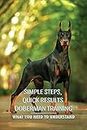Simple Steps, Quick Results Doberman Training: What You Need To Understand: How Do You Discipline A Doberman Pinscher Puppy