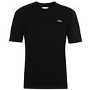 Lacoste - TH2038-00, T-shirt da uomo, Black, Medium