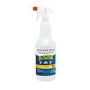 Clear Gear - Disinfectant, Cleaner, and Deodorizer For Sports Equipment, Gyms, and Fitness Centers - EPA-Registered, Hospital Grade, Made in USA - 1-Pack of 32 Oz Bottle Disinfecting Spray