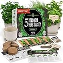 Indoor Herb Garden Starter Kit - 5 Herb Seeds Gardening Kit with Bamboo Planting Pots & Potting Soil - Heirloom & Non GMO - DIY Home Seed Starter Grow Plant Kit - Basil, Mint, Cilantro, Chives Seeds