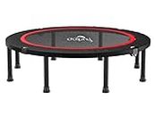 Dolphy 48" Foldable Mini Trampoline, Exercise Trampoline for Kids or Adults, Indoor,Garden/Workout Cardio Fitness Rebounder Trampoline with Safety Pad. - Max Load 100 kg.