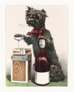 11801.Decoration Poster.Room wall.Home modern design.Kitchen food.Wino pet dog