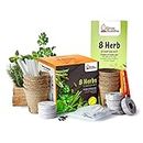 Coltiva il tuo kit di giardinaggio - Fai crescere facilmente le tue piante con il nostro kit completo per principianti - Un'idea regalo unica (kit di 8 erbe) (8 Herbs Kit)