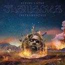 Flying Lotus Flamagra Instrumentals (CD) Album