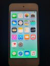 Apple iPod Touch 5th Generation (Blue 16GB)