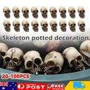 20-100X Halloween Mini Skull Head Realistic Resin Skeleton Skull Table Decor