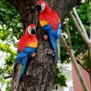 Harz Simuliert Papagei Statue Outdoor Garten Ornament Für Wand / Baum Dekoration