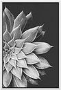 SIGNWIN Framed Canvas Print Wall Art Film Grain Silver Star Succulent on Dark Background Floral Plants Photography Minimalism Southwest Relax/Calm for Living Room, Bedroom, Office - 24"x36" White