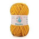 Blankie is a Super Soft Chenille Yarn. OEKOTEX Class 1 Certified. Safe for Babies. Pack of 2 Balls - 100gm Each. Shade no 6