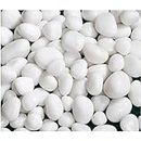 Foodie Puppies Polished White Pebbles Glossy Stones - 2Kg (2.5cm - 4cm) | for Home Decorative, Vase Fillers, Aquarium Fish Tank, Garden River Rock Unplanted Substrate