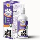 Tail & Collar Club Dental Spray for Dogs & Cats - Fight Against Bad Breath, Plaque, Tartar & Gum Disease Without Brushing (Pack of 1)