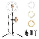 Godox LR120 12" LED Ring Light with Desktop Stand & Phone Holder, USB Powered CRI>90 3000K to 6000K Dimmable Brightness Ranges 10%-100% for Live Stream/Makeup/YouTube