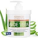 Advanced Clinicals Aloe Vera Lotion for Sun Burn Recovery | After Sun Body Lotion With Vitamin C + Hyaluronic Acid | Damaged Skin Repair Moisturizing Cream | Large 16 Oz