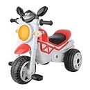 DA Bull International Baby Bullet Bike Rider Baby Tricycle Ride-on with Music and Lights | Tricycle with Music and Lights for 2-4 Year Old Baby | Bikes, Trikes & Ride-ons (Red)