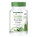 Fairvital | Aloe Vera - 4000mg par dose journalière - fortement dosé - avec Vitamine C - set pour 3 mois - VEGAN - 90 gélules - Aloe Vera Barbadensis Miller