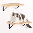 2PCS Cat Wall Shelves with Cat Scratching Mat, 16.6x9.7 Inch Large Cat Wall Hammock Cat Wall Furniture Cat Shelf Cat Window Perch Wall Mounted Beds for Sleeping, Playing, Climbing, Support to 30 LBS