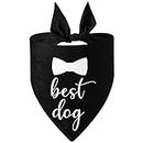 Engagement Gift,My Humans are Getting Married Dog Bandana Easter Dog Wedding Bandana Photo Prop Wedding Registry Gifts for Newly Engaged Couples Bridal Shower Gifts,Dog Wedding Outfit Accessories