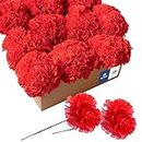 Royal Imports Artificial Carnations, Silk Faux Flowers, for Funeral Arrangements, Wedding Bouquets, Cemetery Wreaths, DIY Crafts - 100 Single 5" Stems - Red
