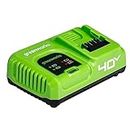 Chargeur de batterie Greenworks G40UC5 (Li-Ion 40V, 5A, 30 minutes de charge pour 2Ah (50 minutes pour 4Ah) convient à toutes les batteries de la série 40V Greenworks Tools)