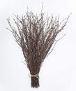 50 Psc. Birch Twigs – 100% Natural Decorative Birch Branches for Vases, Centerpi