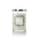 Colonial Candle Eucalyptus Mint Scented Jar Candle, Classic Cylinders Collection, 2 Wick, Green, 11 oz - Up to 80 Hours Burn