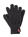 Levi's Ben Touch Screen Gloves, Guanti Uomo, Grigio (Dark Grey), Large