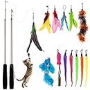 Bojafa Cat Toys For Indoor Cats Adult: Interactive Kitten Cat Feather Wand Toys 15Pcs Cat Teaser Toys