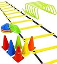 Toyshine Fitness Combo - 6 pc Hurdles (6 inch), 6 pc 6 Inches Stacking Cones, 10 Pc Space Markers and 1 Pc Agility Ladder (4 M) - SSTP - Multi