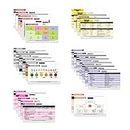 Nurse Nation 30 Horizontal Nursing Badge Reference Cards - Lab Values, EKG, Vitals, and More! (Bonus Cheat Sheets) Great Nurse Gifts - Nursing Student Accessories and Supplies!