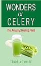 wonders of celery: the amazing healing plant