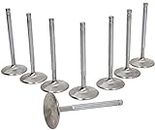 Manley 11682H-8 Intake Valve (Chevy LS-1/LS-2 LS-6 Head Small Block Severe Duty/Pro Flo Hollow Set of 8)