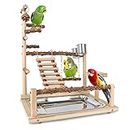 Natural Wood Bird Perches Stand for Small to Medium-Sized Birds, Living Playground for Birds, Parrot Playstand, Bird Gym Ladder Play Stand, Multilevel Wood Perch with Swing, Feeder Cups, Tray