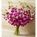 1-800-Flowers Flower Delivery Exotic Breeze Orchids 20 Stems Bouquet Only | Same Day Delivery Available | Happiness Delivered To Their Door