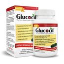 Glucocil 30-Day Supply 120CT, Premium Blood Sugar Support, Egg-Free|Gluten-Free