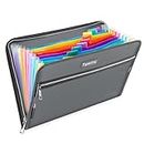 Fireproof Safe Waterproof Accordion File Bag Folder Expanding Filing Folder with 14 Multicolored Pockets, A4 Letter Size, Document Organizer Holder and Color Labels /2 Zipper (Grey 14.3" x 9.8")