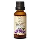 Lavendelöl Ätherisch 30ml - Bulgarien - Natürlich & Rein - Ätherisches Lavendel Öl - Körperpflege - Wellness - Entspannung - Massage - Raumduft - Duftlampe