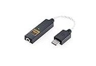 iFi GO link - DAC e amplificatore - Adattatore da USB-C a 3,5 mm - Migliora il suono di qualsiasi dispositivo - Presa da 3,5 mm placcata oro - Cavo flessibile - Hi-Res 32-bit/384kHz/DSD256/MQA