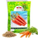NEW KURODA - CHIKE Long Carrot Seeds 10000+ Vegetable Seeds for planting