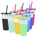 10Pcs Color Changing Cups with Lids and Straws, 710ml/24oz Reusable Tumblers Bulk, Large Capacity Plastic Straw Tumbler, Ice Cold Drinking Cup for Adults Kids, Travel Beverage Mug for Party (A)