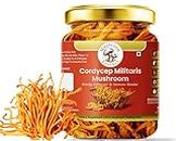 Mushroom Essence Cordyceps Militaris Dried Mushroom 30gms -Energy | peak performance|Fatigue Support - pack of 1