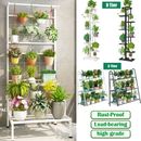 3-8 Pot Wrought Iron Rustproof Plant Stand Shelf Elegant Art Flower Holder Rack