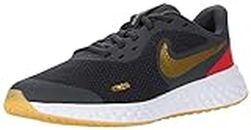 Nike Unisex Kids Revolution 5 (GS) DK Smoke Grey/Metallic Gold Road Running Shoe (BQ5671-016)