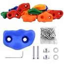 Climbing Holds 15 PCS Climbing Grips Set with Mounting Screws Multicoloured Wall Climbing Stones for DIY Rock Stone Wall Indoor and Outdoor Playground(15pcs/set,multicoloured,size:multi-dimension)