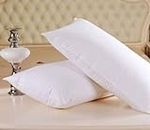 LASER WINGS Luxurious Hotel Quality Premium Polyester Blend Fiber Pillow White Set of 2 16 X 26