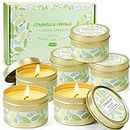 LA BELLEFÉE Citronella Candles Set Outdoor Travel Tin Candle Gift Set Ideal for Home, Kitchen, Indoors, Office and More (6 Pack)