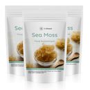 Sea Moss Capsules 600mg 100% Clean & Natural Vegan Capsules Genuine Sea Moss
